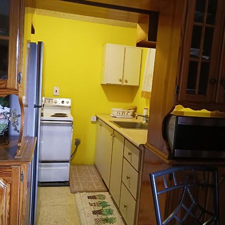 Chelsea Manor Lejlighed Kingston Eksteriør billede